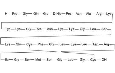 PA PEP 000989