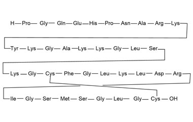 PA PEP 000990