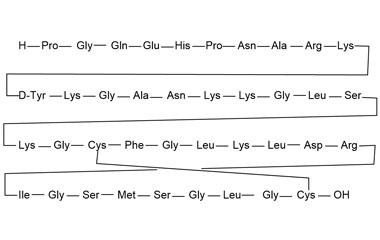 PA PEP 000991