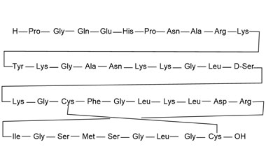 PA PEP 000993