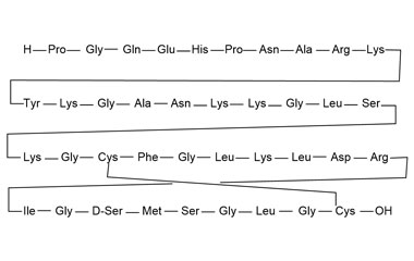 PA PEP 000994