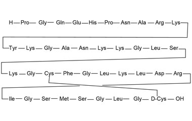 PA PEP 000995