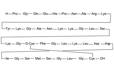 PA PEP 000996