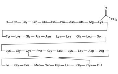 PA PEP 000997