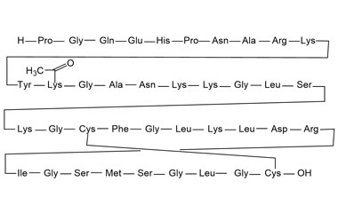 PA PEP 000998