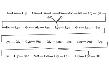 PA PEP 000999