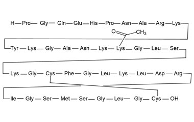 PA PEP 001000