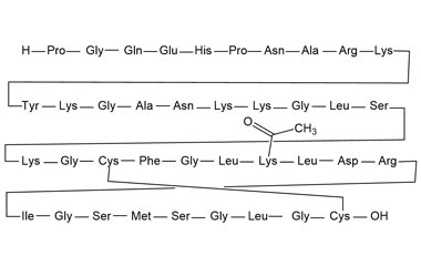 PA PEP 001002