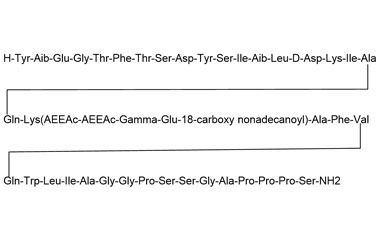 PA PEP 001081