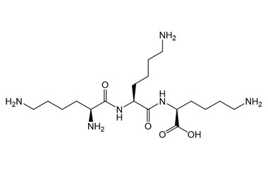 PA PEP 001128