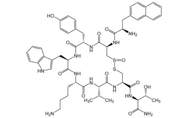 PA PEP 001131