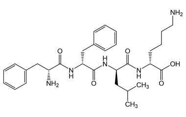 PA PEP 001142