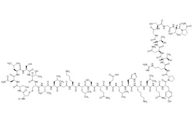 PA PEP 001154