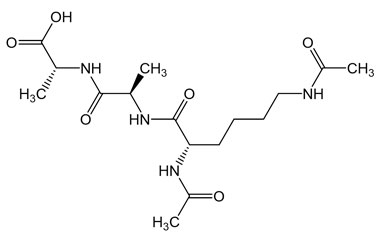 PA PEP 001170