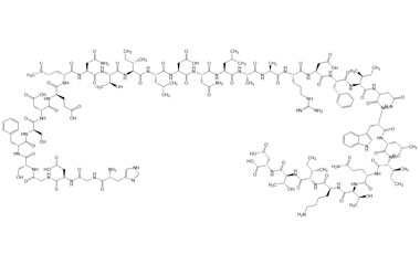 PA PEP 001181