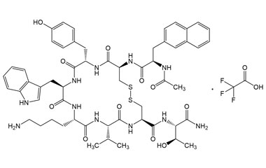 PA PEP 001202