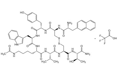 PA PEP 001203