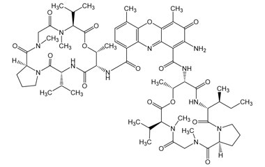 PA PEP 001215