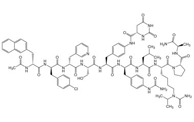 PA PEP 001218