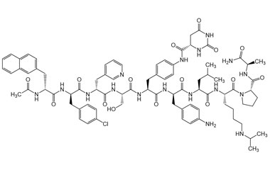 PA PEP 001219