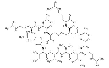 PA PEP 001221