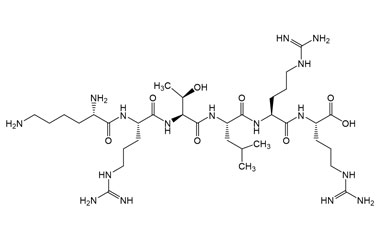 PA PEP 001314