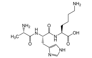 PA PEP 001481