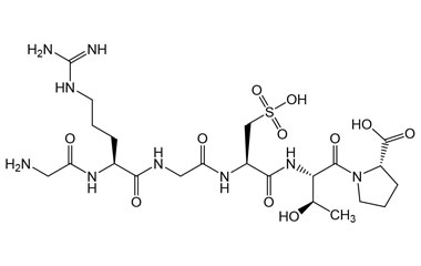 PA PEP 001551