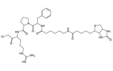 PA PEP 001559