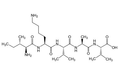 PA PEP 001561