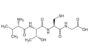 PA PEP 001562