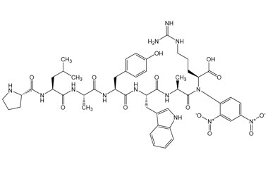 PA PEP 001653