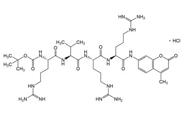 PA PEP 001671