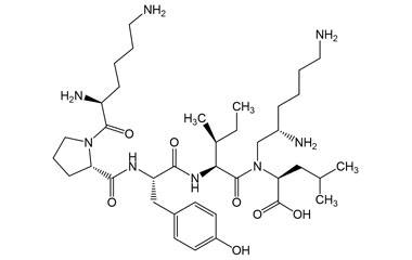 PA PEP 001739