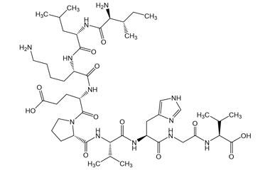 PA PEP 001740