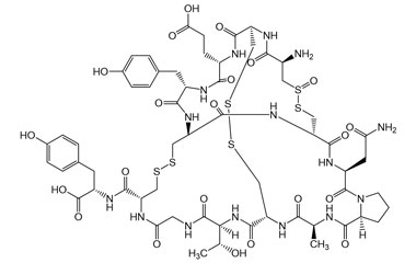 PA PEP 002548