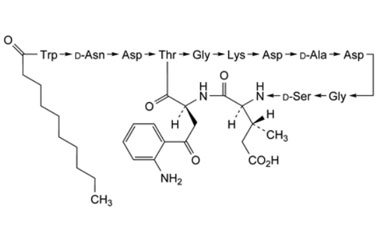 PA PEP 002614