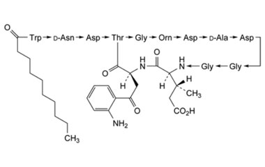 PA PEP 002615
