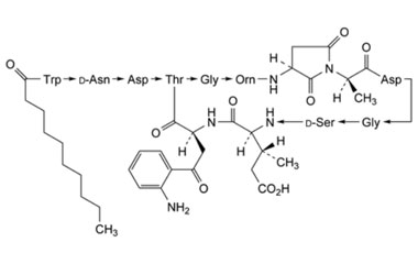 PA PEP 002617