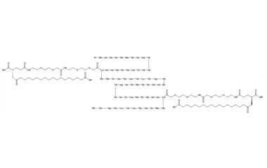 PA PEP 003121