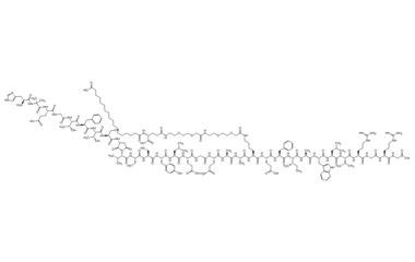 PA PEP 003123