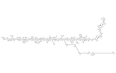 PA PEP 003242