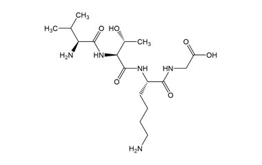 PA PEP 003530