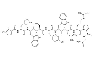 PA PEP 003536
