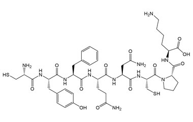 PA PEP 003541