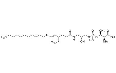 PA PEP 003642