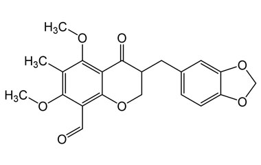 PA PHY 005049