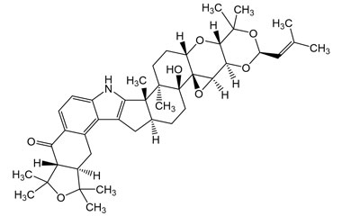 PA PHY 005236