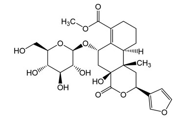 PA PHY 005237