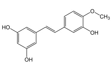 PA PHY 005240